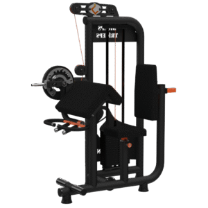 Bíceps e Tríceps #380