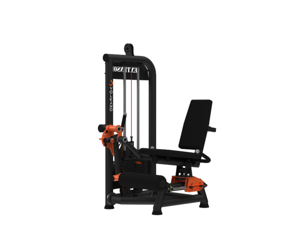 Extensor Biarticulado com Carga #1468 - Imagem 2
