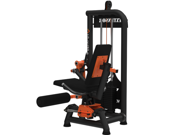 Extensor Biarticulado com Carga #1468 - Imagem 4