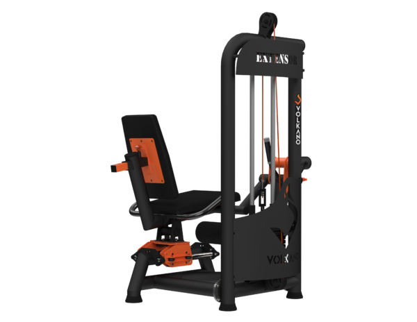 Extensor Biarticulado com Carga #1468 - Imagem 5