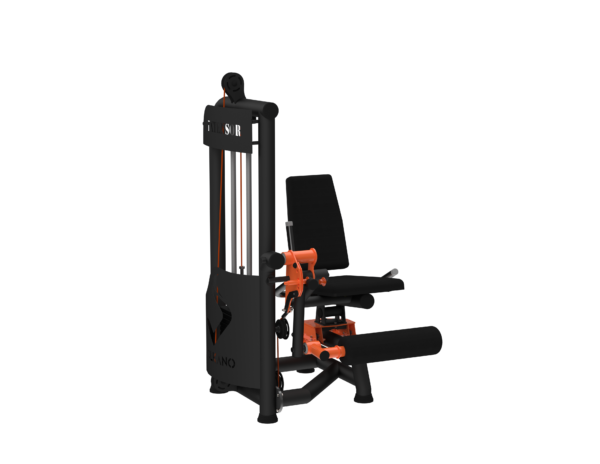 Extensor Biarticulado com Carga #1468 - Imagem 6